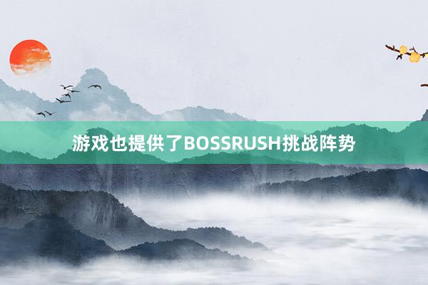 游戏也提供了BOSSRUSH挑战阵势